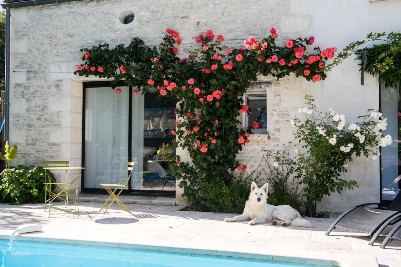 Le Logis De La Brumanderie - Saintes Fontcouverte  Exterior foto