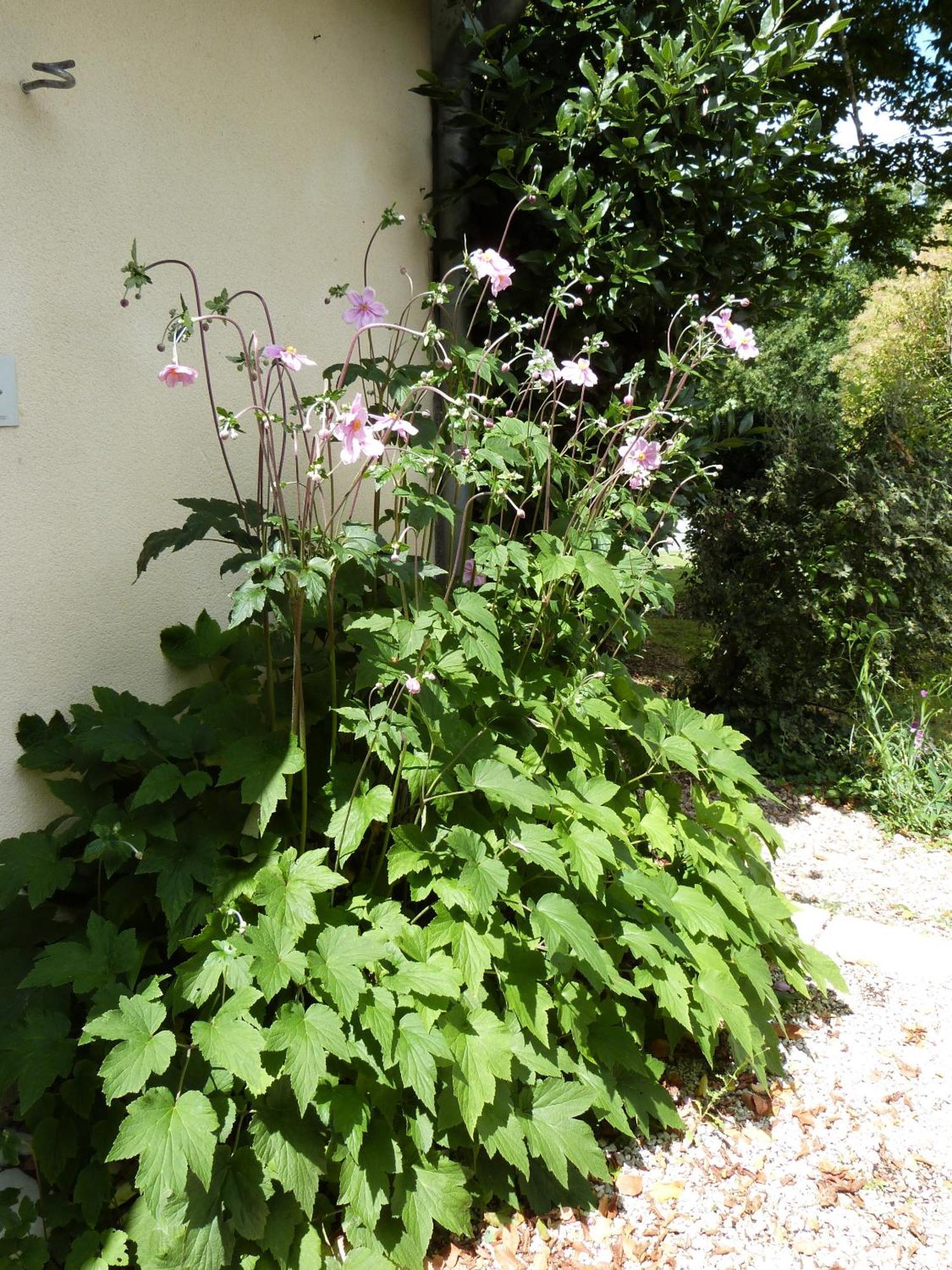 Le Logis De La Brumanderie - Saintes Fontcouverte  Habitación foto